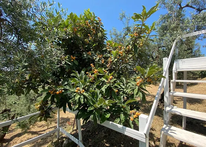 I Giardini Di Margius