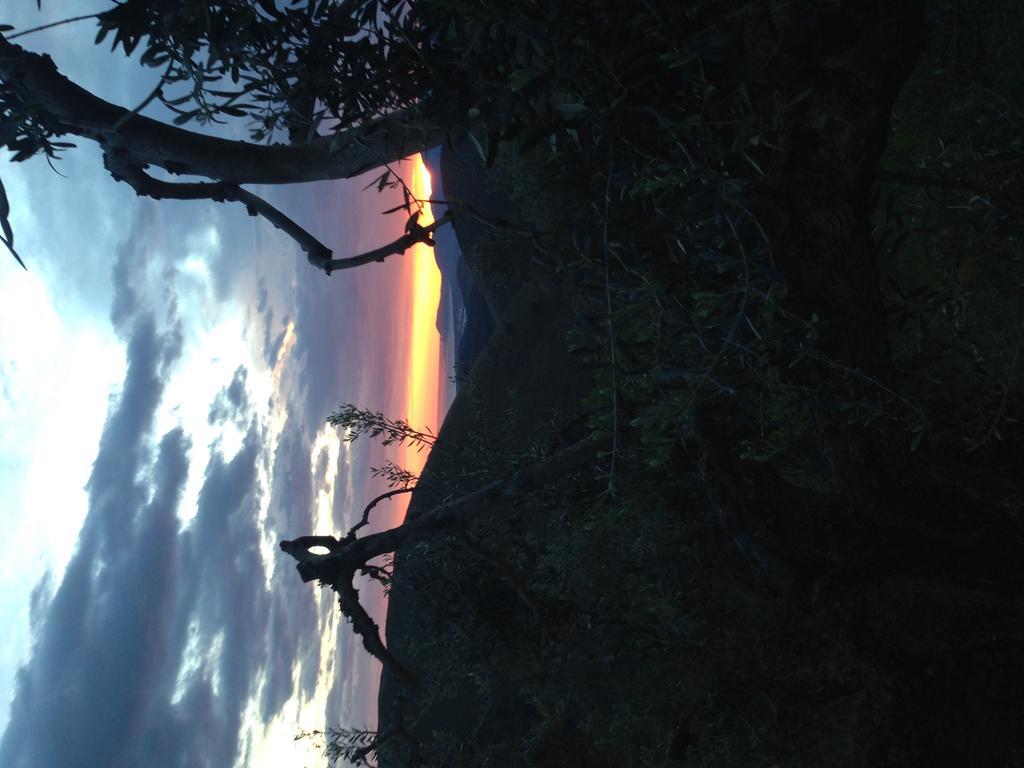 I Giardini Di Margius