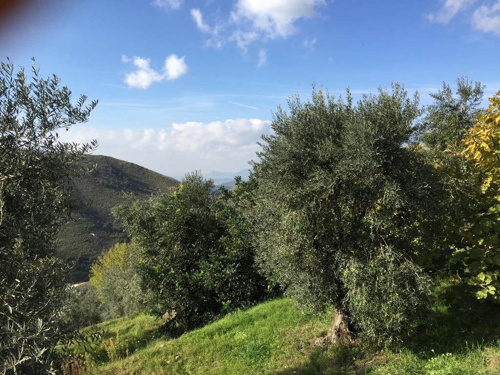 I Giardini Di Margius *