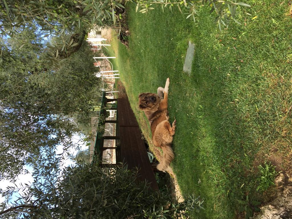 I Giardini Di Margius Bauernhof