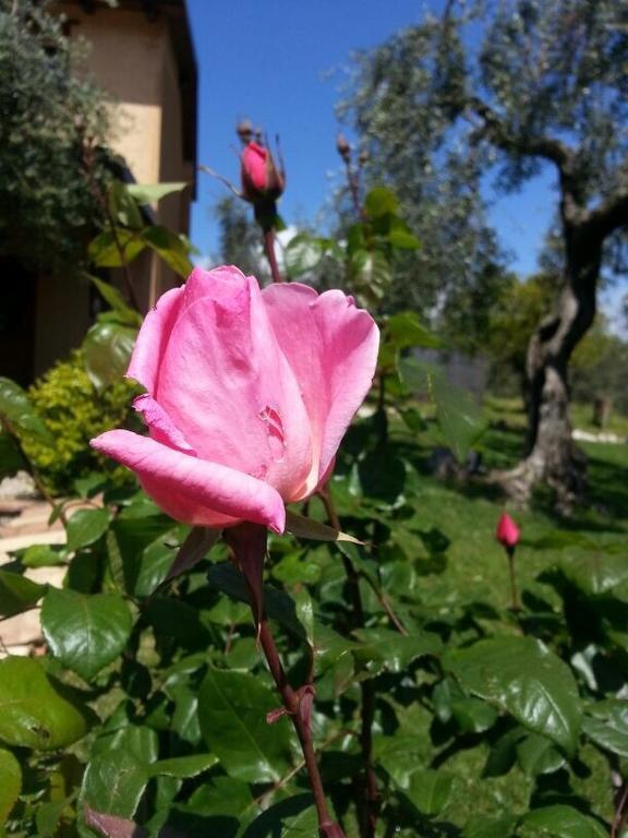 I Giardini Di Margius Itri
