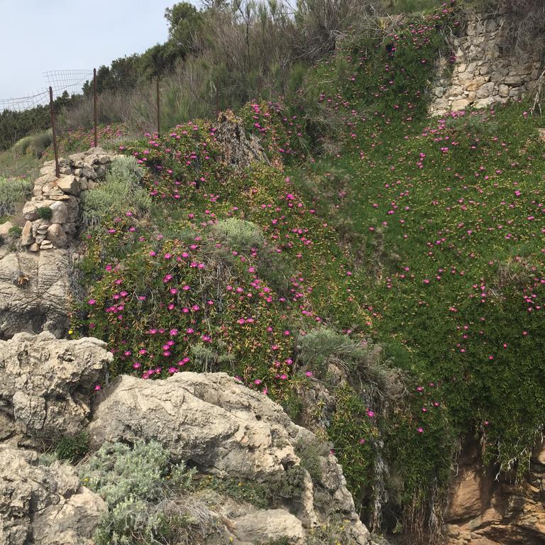 I Giardini Di Margius